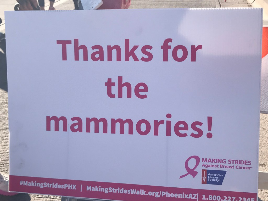 Facing Mortality: My Breast Cancer Journey,&nbsp;Cont’d.